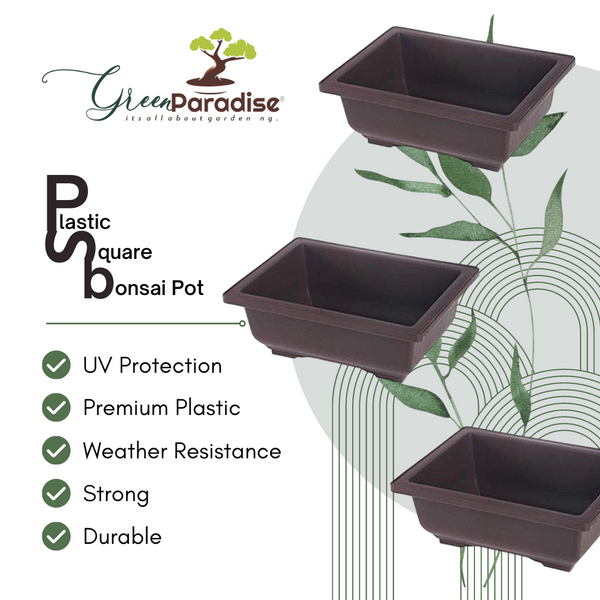 Green Paradise® Bonsai Training  Pots Rectangle 14 cm (Brown)  plastic bonsai  pots Ideal for  Mame And Shohin Bonsai Training
