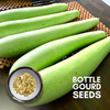 Green Paradise® Bottle Gourd (Dudhi) Seeds Pack