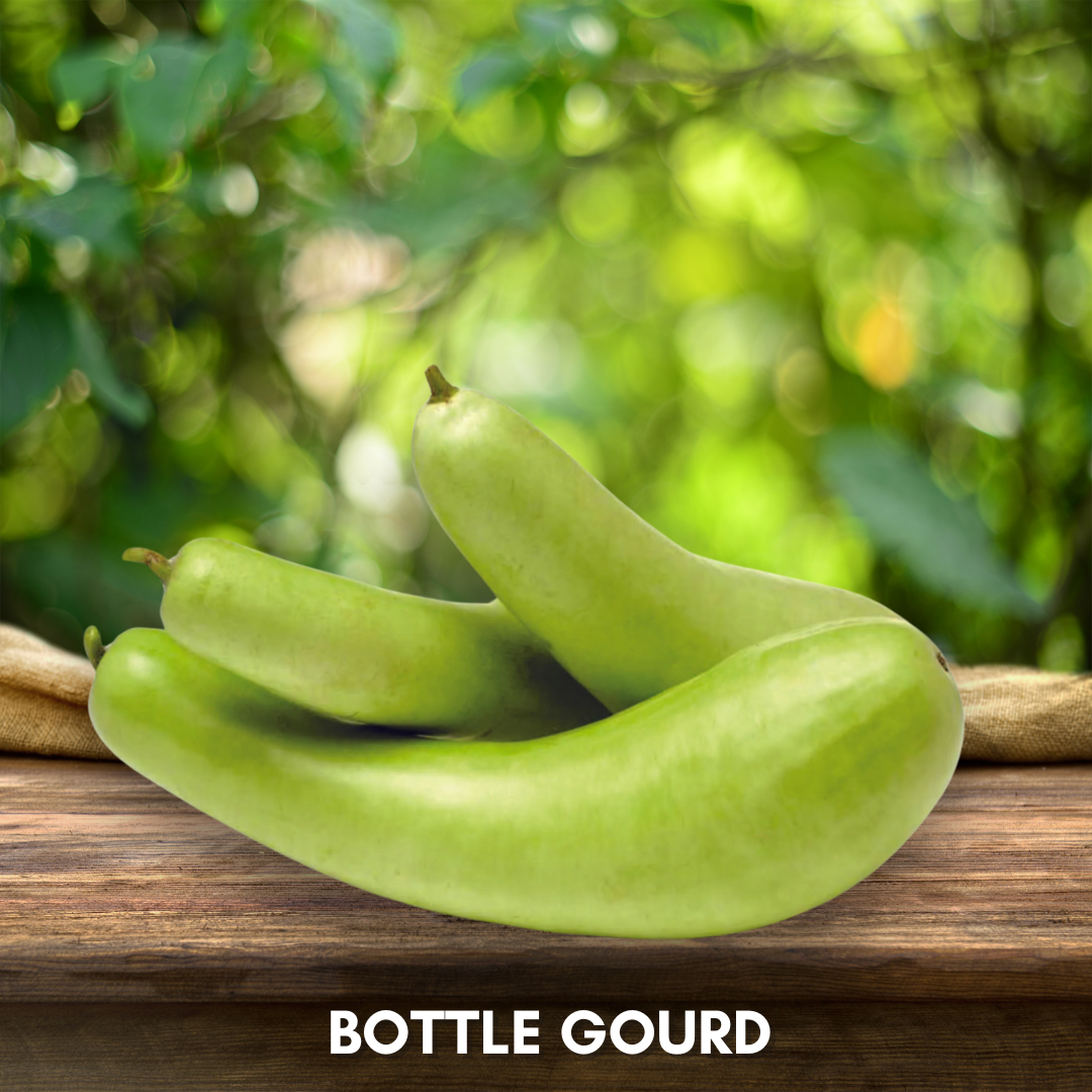 Green Paradise® Bottle Gourd (Dudhi) Seeds Pack