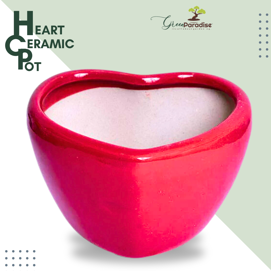 Green Paradise® Heart Shape Glossy Ceramic Pot Glossy Planter