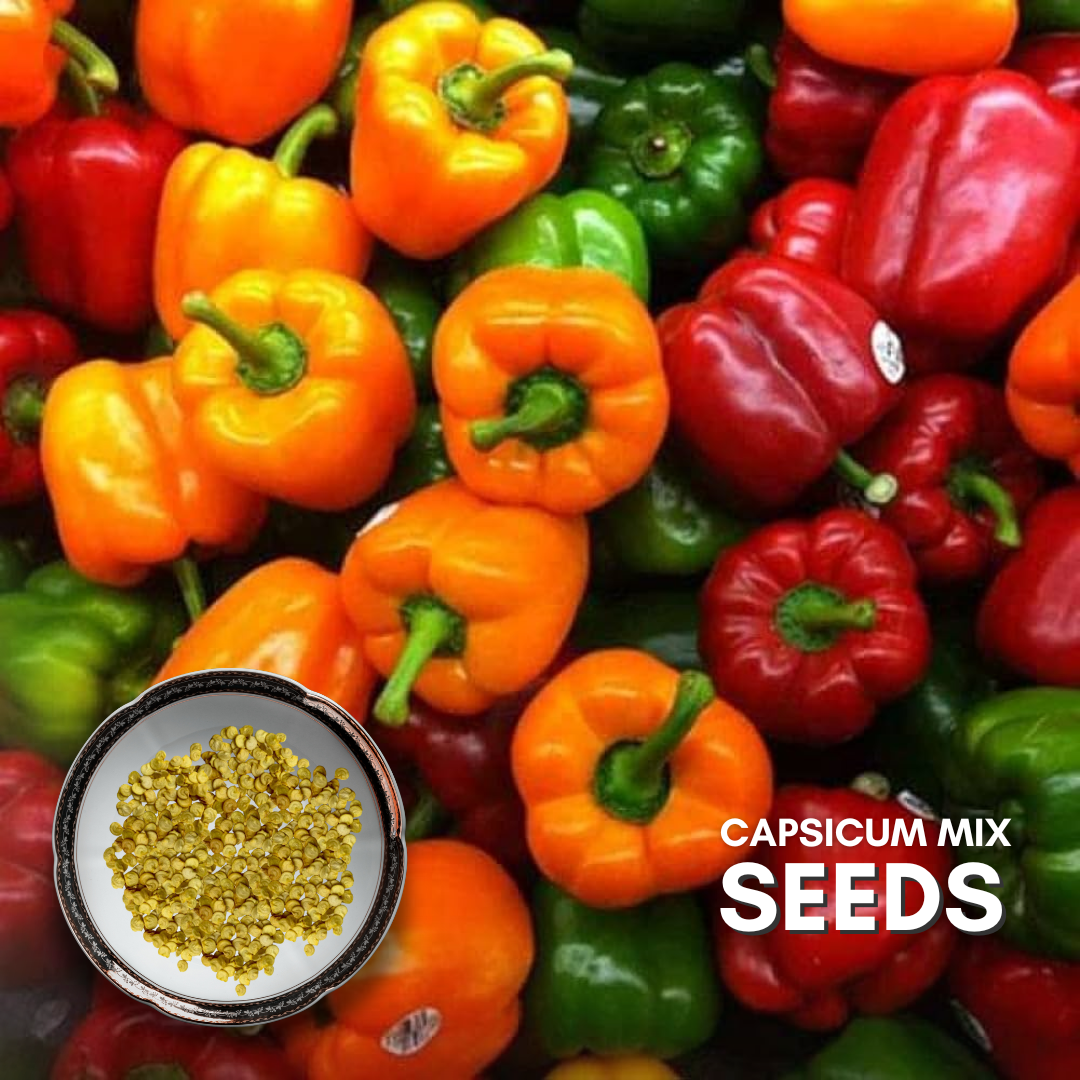 Green Paradise® Capsicum Mix F1 Hybrid Seeds Pack