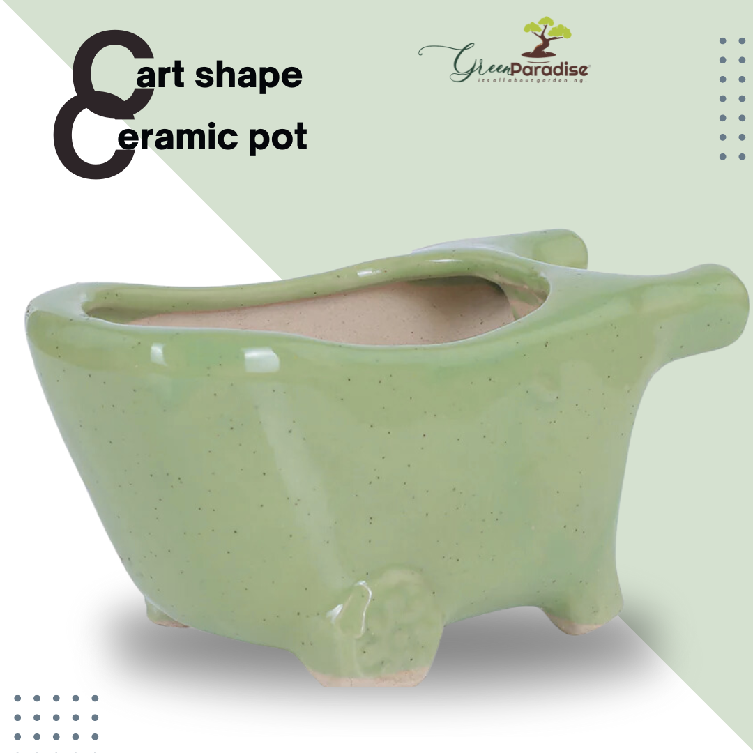 Green Paradise® Cart Shape Beautiful Ceramic Pot (Black & Green)