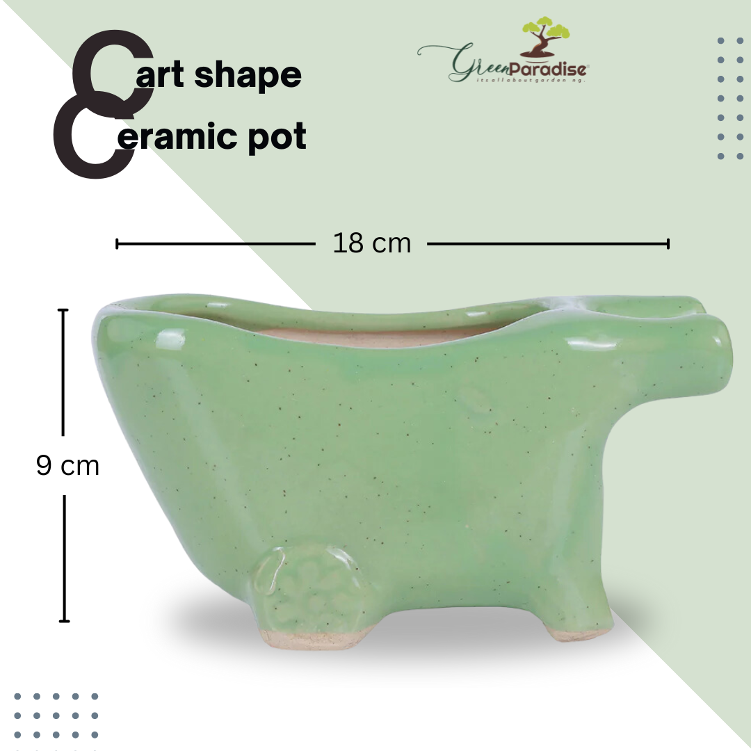Green Paradise® Cart Shape Beautiful Ceramic Pot (Black & Green)
