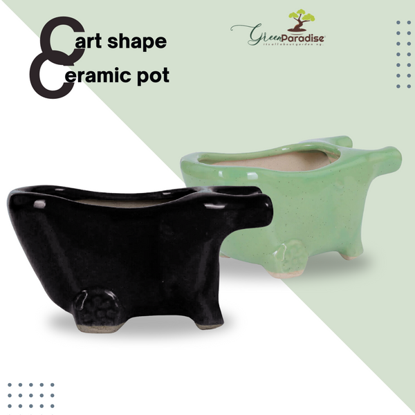 Green Paradise® Cart Shape Beautiful Ceramic Pot (Black & Green)