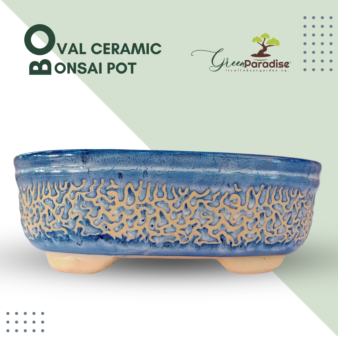 Green Paradise® Ceramic Pot for Bonsai Trees Size 27cm Oval Shape