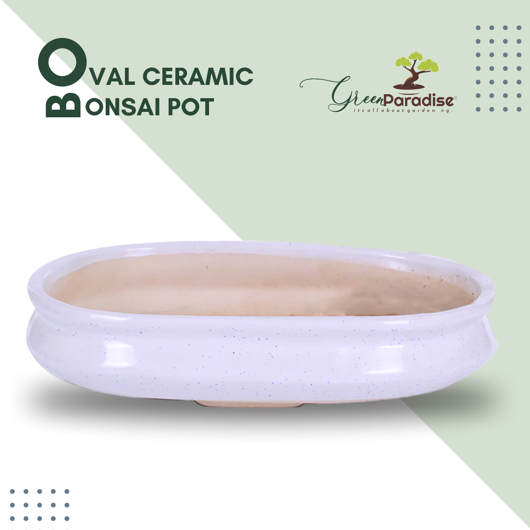 Green Paradise® Ceramic Pot Size 14'' Oval Shape for Bonsai Trees Succulents Fairy Gardens and Miniature Gardens Bonsai Planter