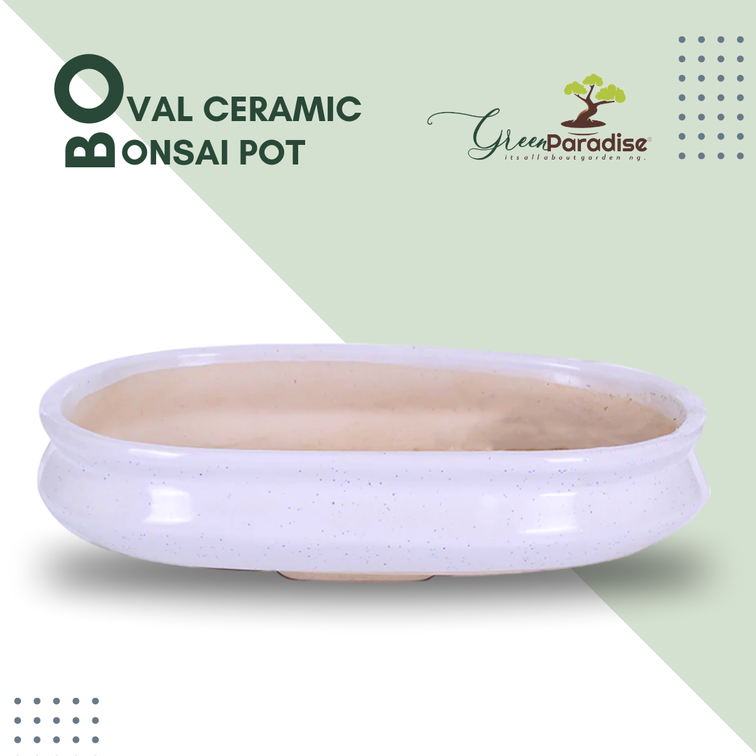 green paradise White Ceramic Pot Size 12'' Oval Shape for Bonsai Trees Succulents Fairy Gardens and Miniature Gardens Bonsai Planter