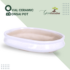 Green Paradise® Ceramic Pot Size 14'' Oval Shape for Bonsai Trees Succulents Fairy Gardens and Miniature Gardens Bonsai Planter