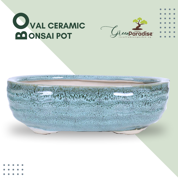Green Paradise® Ceramic Pot Size 10'' Oval Shape for Bonsai Trees Succulents Fairy Gardens and Miniature Gardens Bonsai Planter
