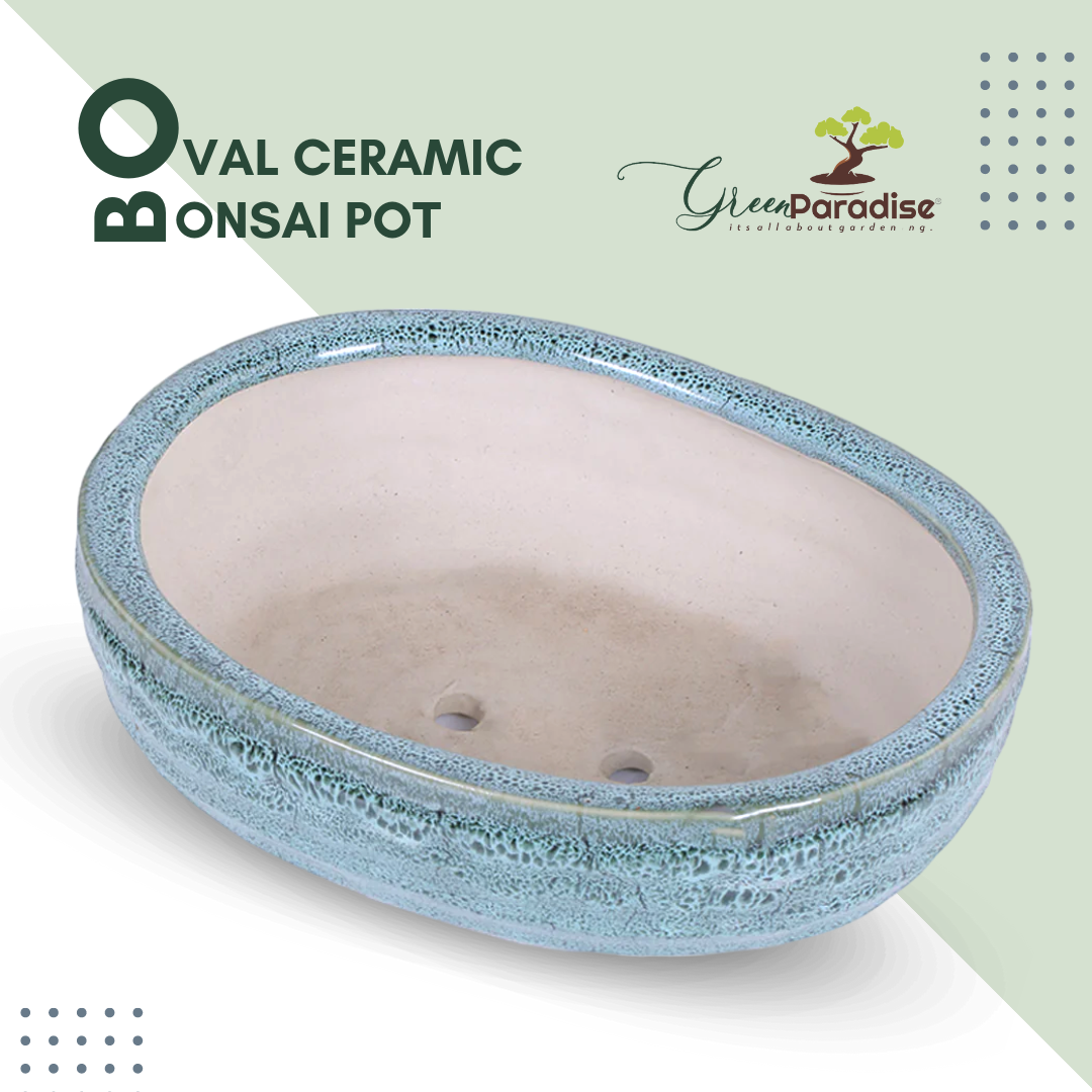 Green Paradise® Ceramic Pot Size 10'' Oval Shape for Bonsai Trees Succulents Fairy Gardens and Miniature Gardens Bonsai Planter