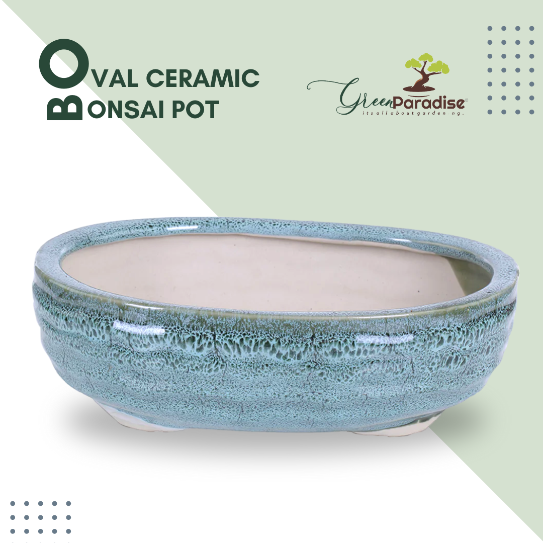 Green Paradise® Ceramic Pot Size 10'' Oval Shape for Bonsai Trees Succulents Fairy Gardens and Miniature Gardens Bonsai Planter