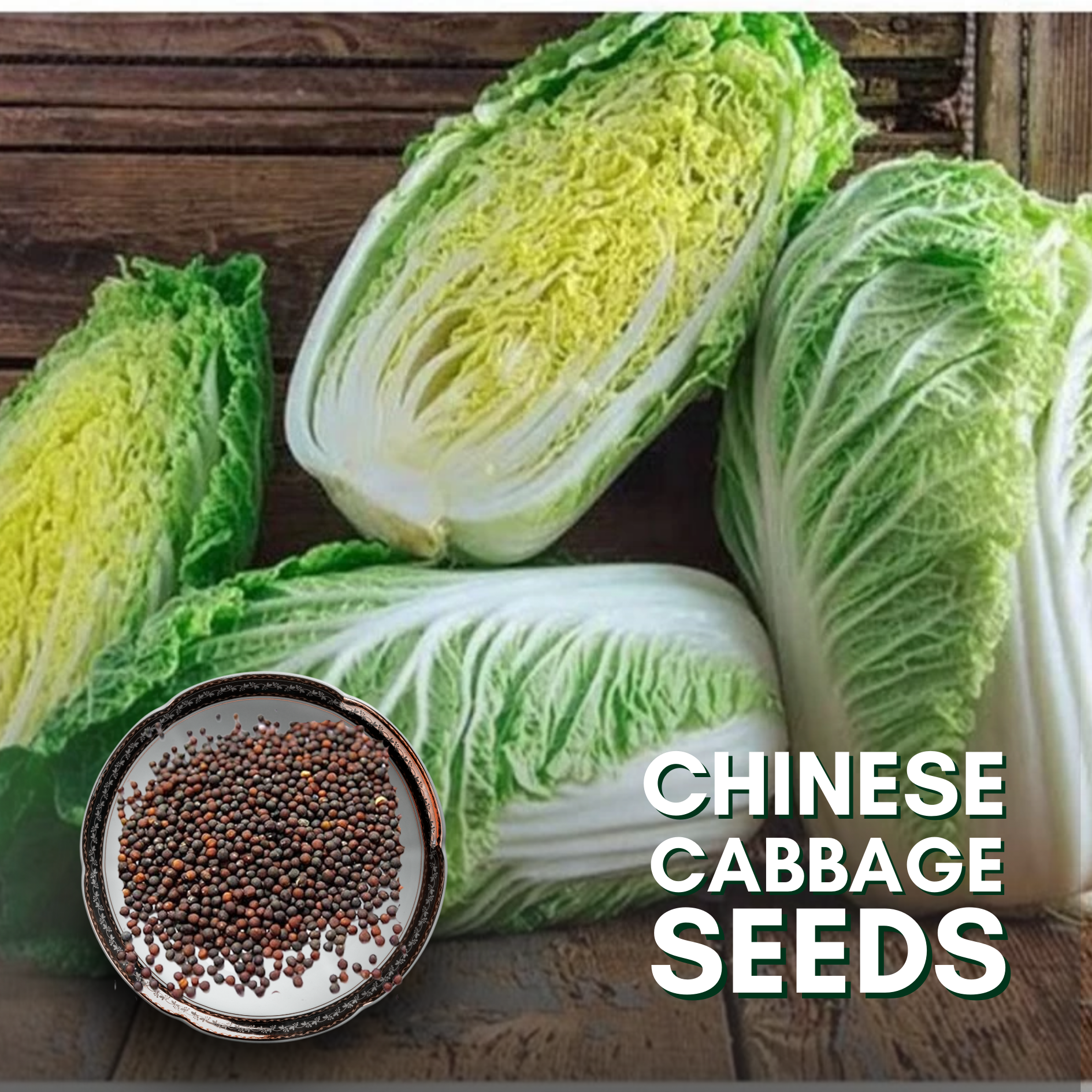 Green Paradise® Chinese Cabbage Seeds F1 Hybrid Seeds