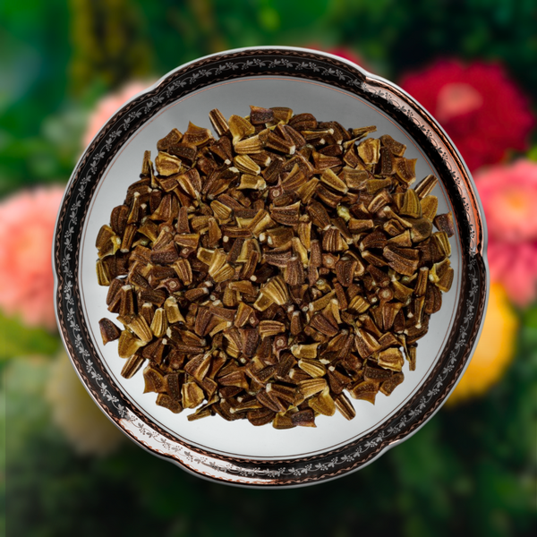 Green Paradise® Chrysanthemum Flower Seeds Pack