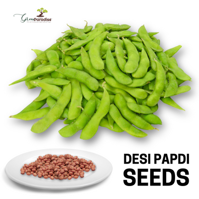 Green Paradise® Desi Papdi Seeds Pack