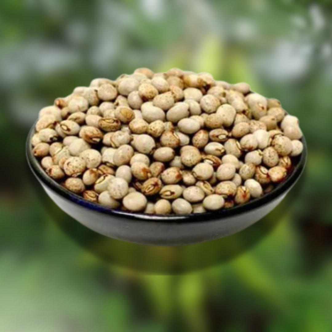 Green Paradise® Pigeon peas (Desi tuver) Seeds Pack