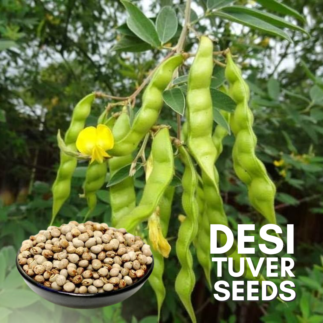 Green Paradise® Pigeon peas (Desi tuver) Seeds Pack