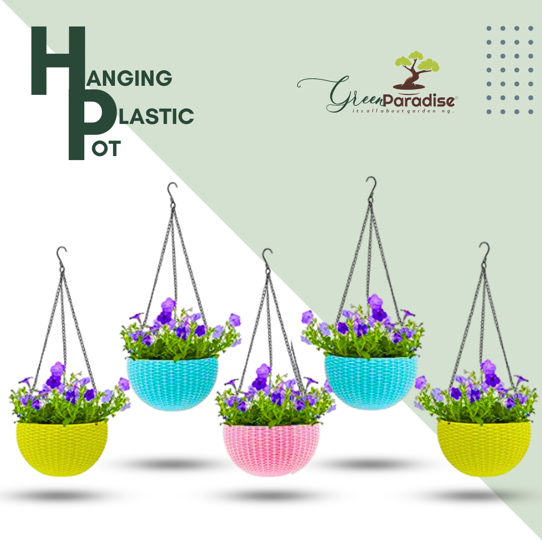 Flower Pot Hanging Basket with Hook Chain for Home Garden Office Balcony Grower Planter-Size 6 Inch