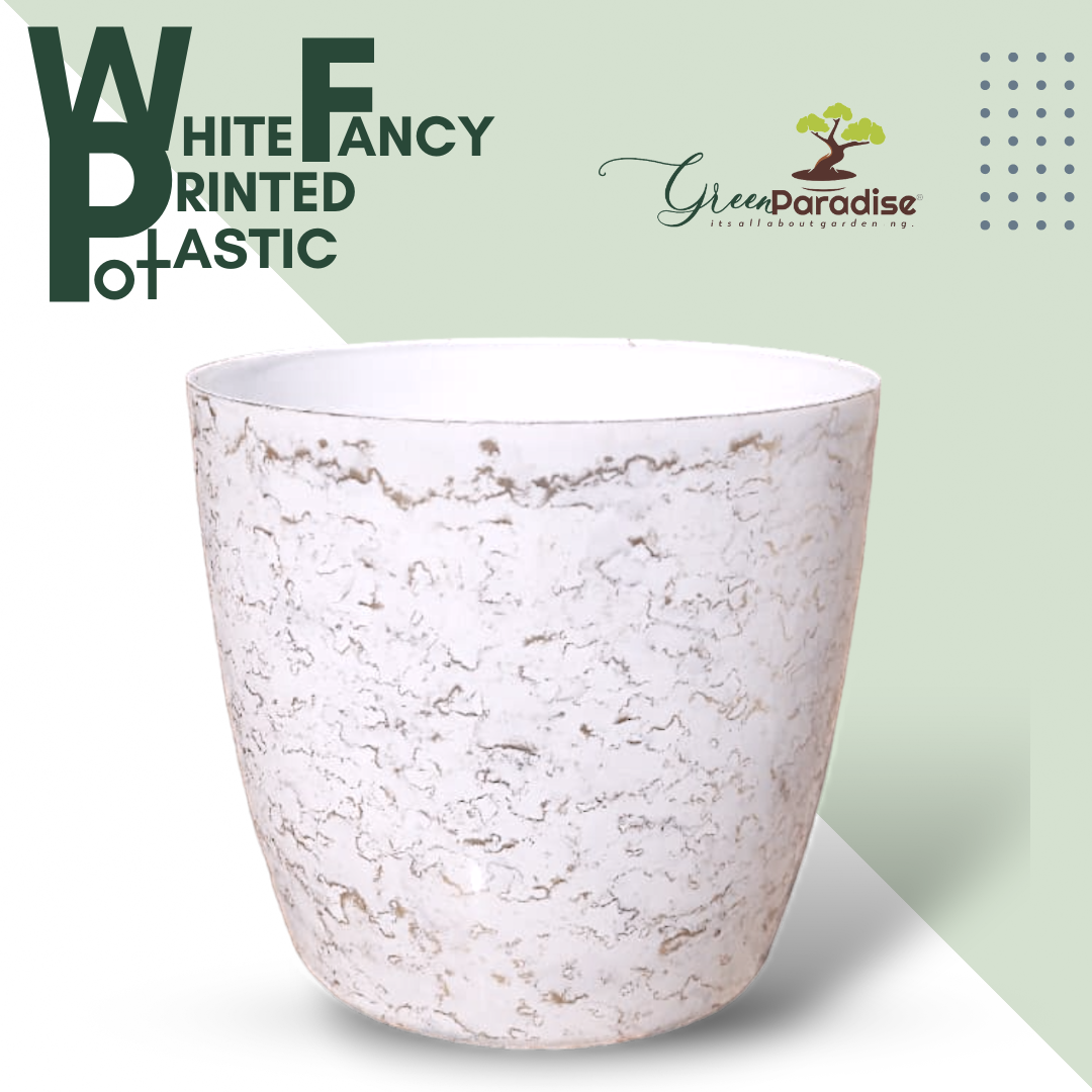 Green Paradise White Glossy Pots With Beautiful Prints 19 cm Pot (set of 3)