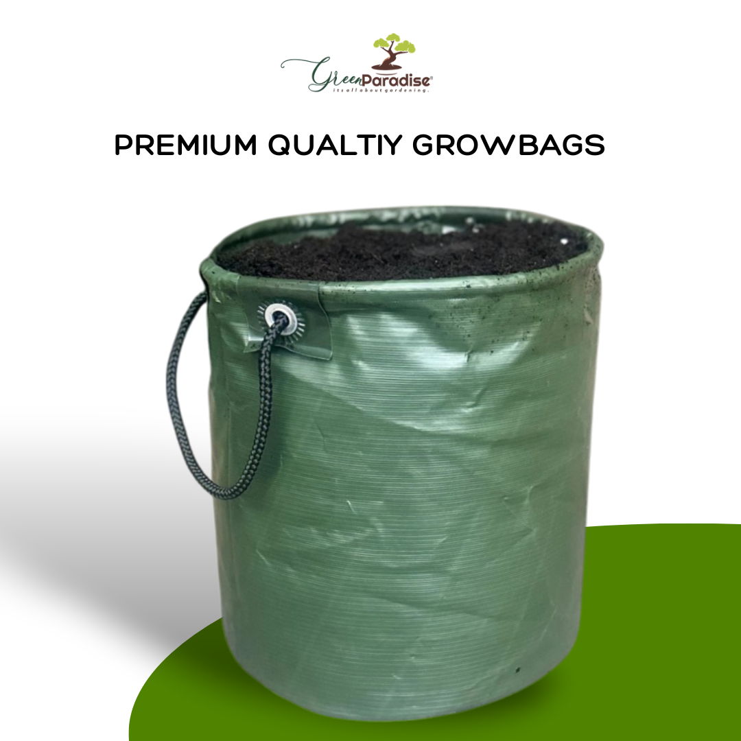 Green Paradise® Premium Quality Grow Bags Durable, Eco-Friendly Plant Containers with Handles, size 12x12 Inch