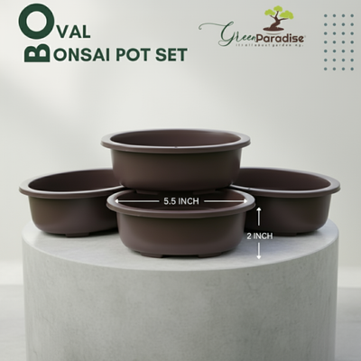 Green Paradise® Oval Bonsai Pot(  Set of 5 ) | 5.5 Inch Plastic Bonsai Training Pots | Purple Clay Color Small Planters for Indoor & Outdoor Plants