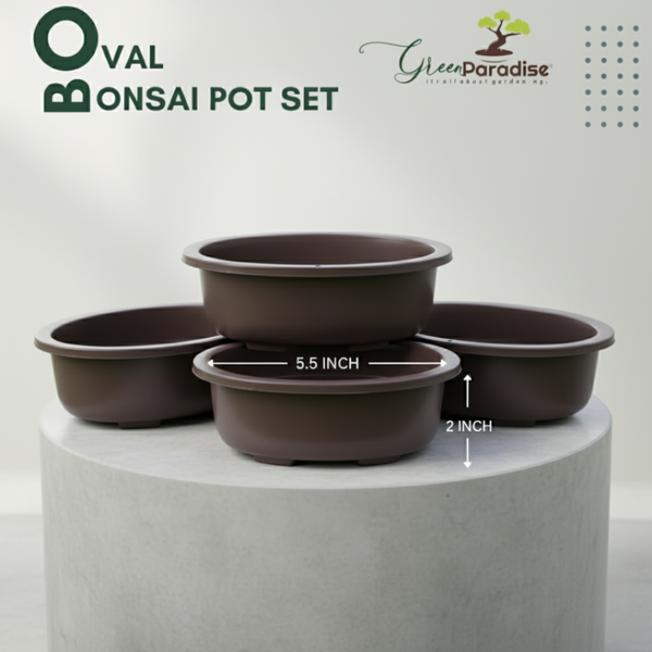 Green Paradise® Oval Bonsai Pot(  Set of 5 ) | 5.5 Inch Plastic Bonsai Training Pots | Purple Clay Color Small Planters for Indoor & Outdoor Plants