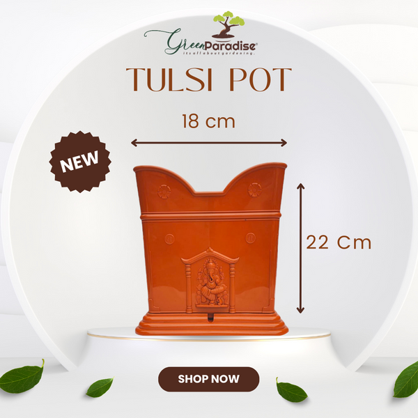 Green Paradise® Tulsi Planter Premium Quality Plastic Pot ( terracotta )