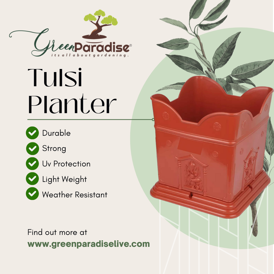 Green Paradise® Tulsi Planter Premium Quality Plastic Pot ( terracotta )