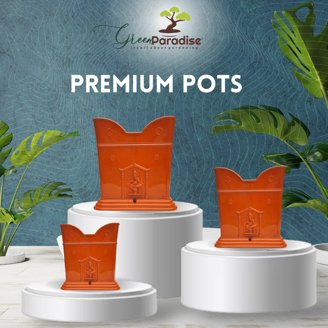 Green Paradise® Tulsi Planter Premium Quality Plastic Pot ( terracotta )