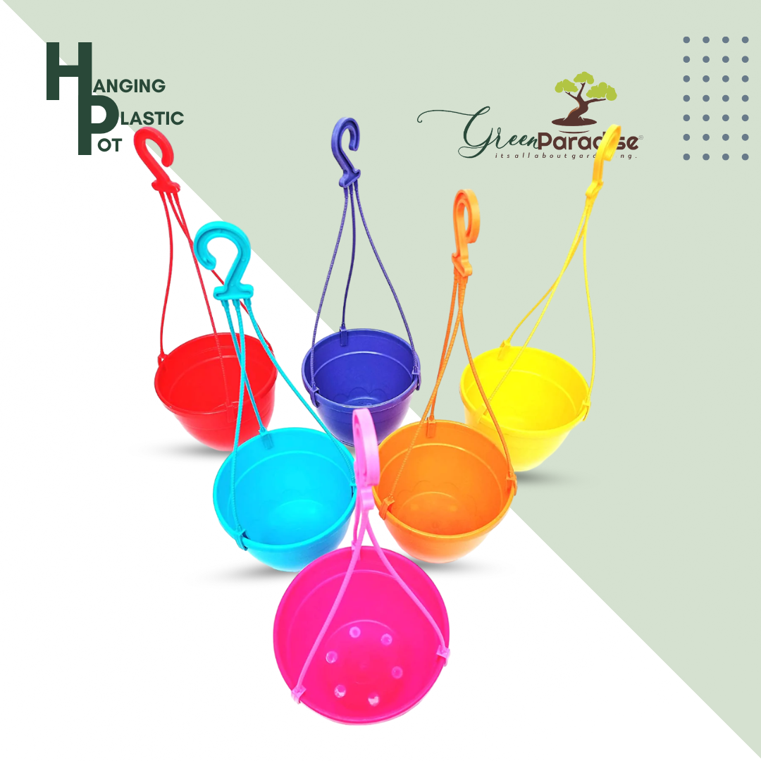 Hanging planters Colorful Hanging planters Made with Virgin Plastic Hi Quality Hanging Pots with Hangers in Random Colors (Set of 5 Pots)