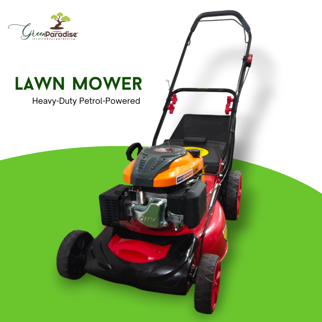 Green Paradise® 4-Stroke 196cc Heavy-Duty Push Type Lawn Mower 20