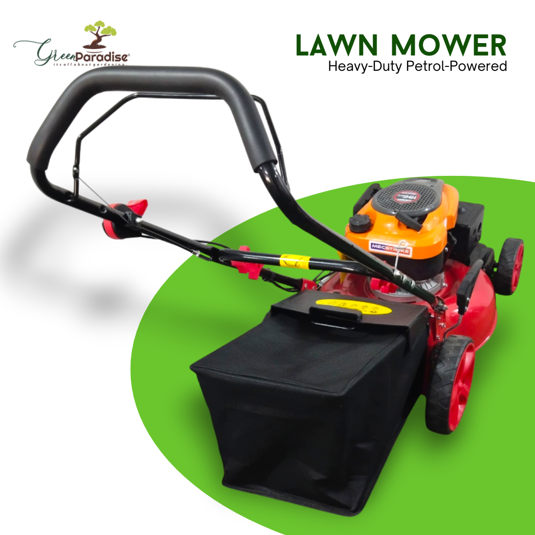 Green Paradise® 4-Stroke 196cc Heavy-Duty Push Type Lawn Mower 20