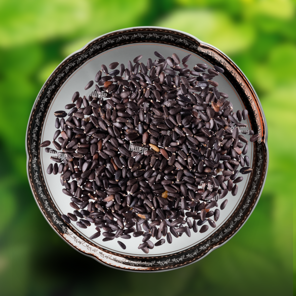 Green Paradise® Lemon Balm (Herbs) Seeds Pack