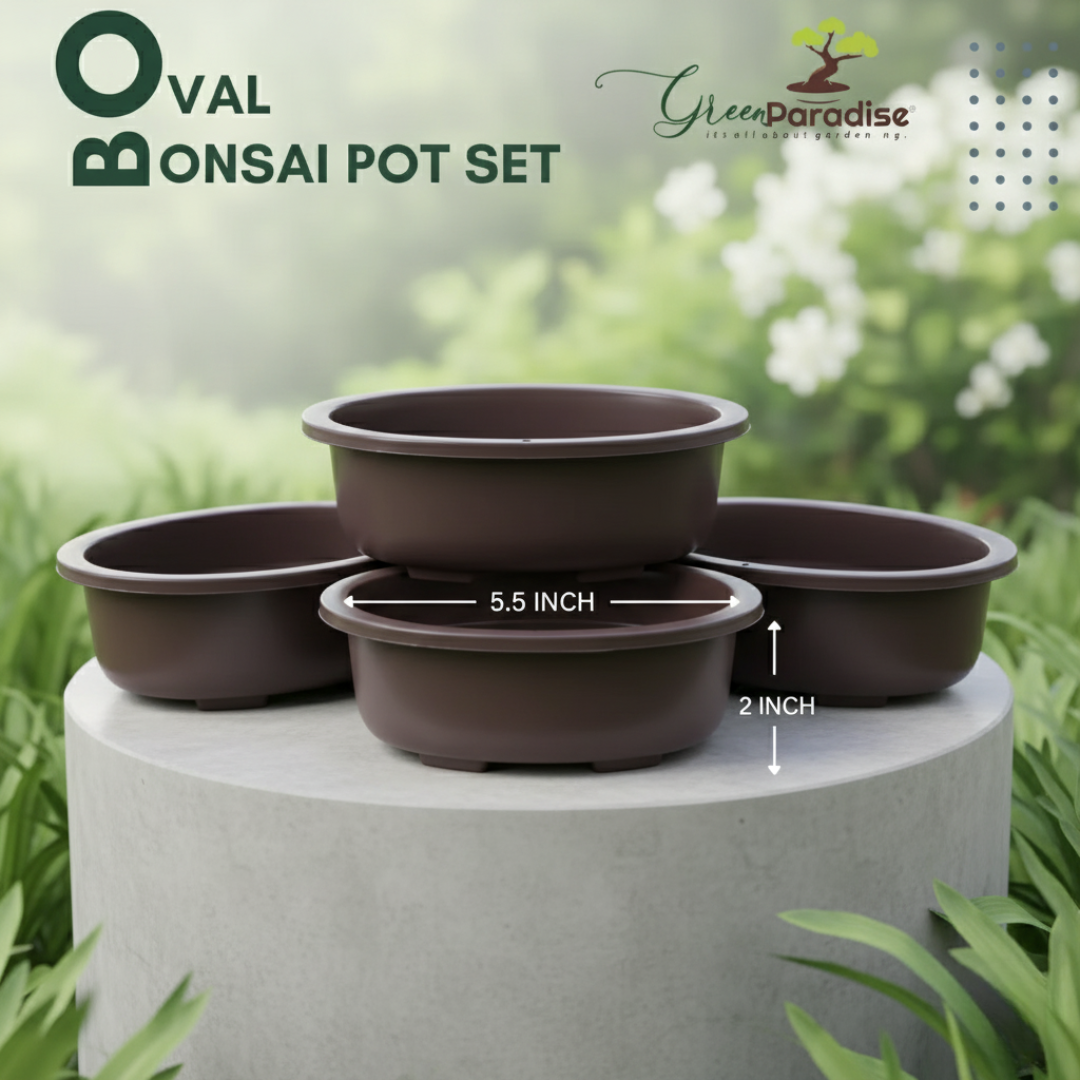 Green Paradise® Oval Bonsai Pot(  Set of 5 ) | 5.5 Inch Plastic Bonsai Training Pots | Purple Clay Color Small Planters for Indoor & Outdoor Plants