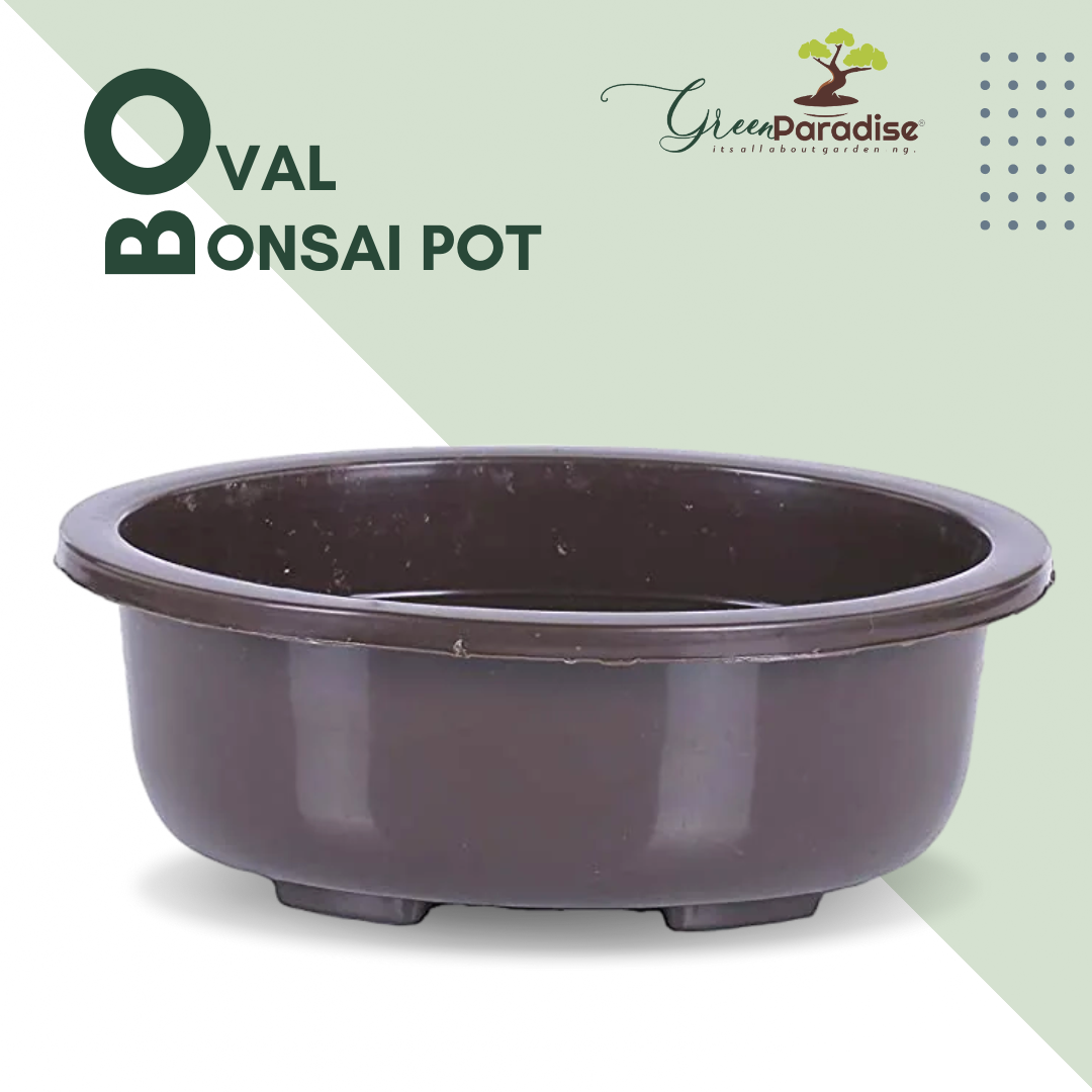 Green Paradise® Bonsai Pots 5.5'' Oval (Pack Of 5) Suitable For Small Bonsai, Succulents, Adeniums And Cactus