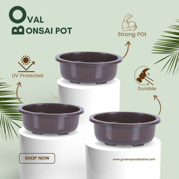 Green Paradise® Bonsai Pots 5.5'' Oval (Pack Of 5) Suitable For Small Bonsai, Succulents, Adeniums And Cactus
