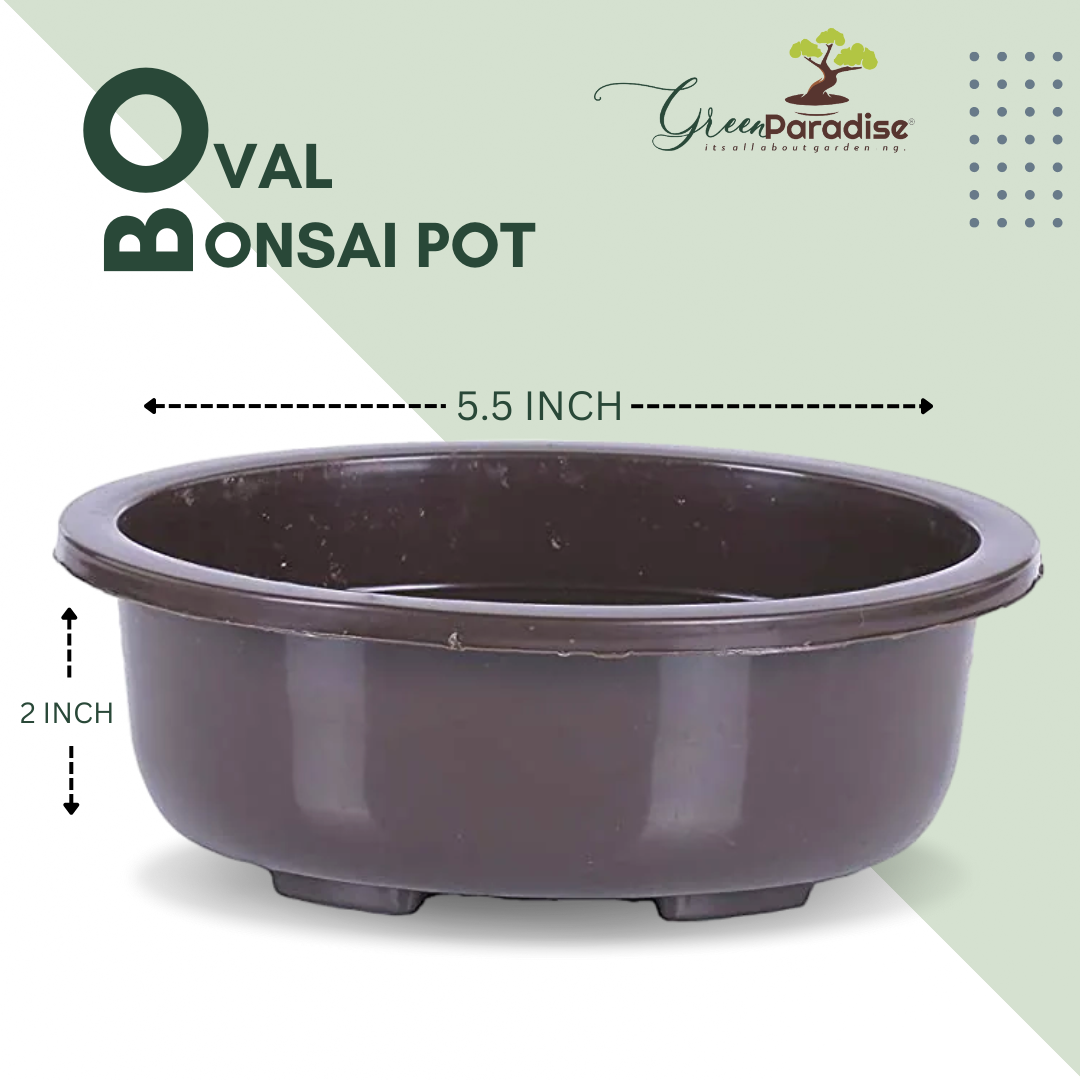 Green Paradise® Bonsai Pots 5.5'' Oval (Pack Of 5) Suitable For Small Bonsai, Succulents, Adeniums And Cactus