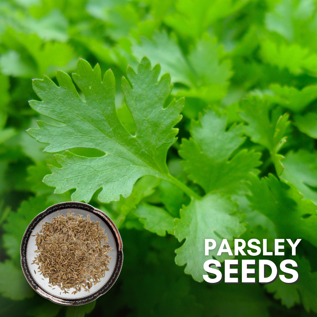 Green Paradise® Parsley IMP Seeds Pack