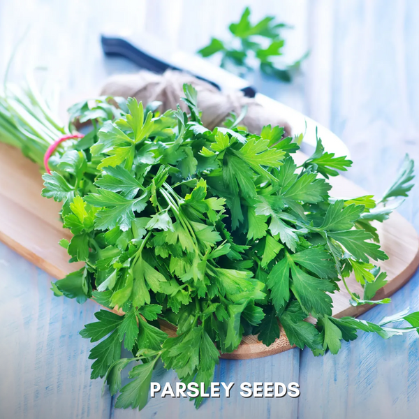 Green Paradise® Parsley IMP Seeds Pack