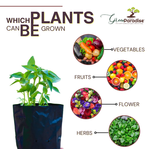 Green Paradise® Growbags UV Stabilized for Kitchen Gardening Hi Quality Poly Bags 6 x 8 inches
