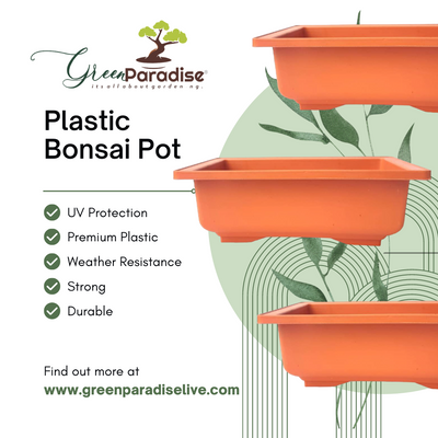 GREEN PARADISE® Rectangle Bonsai Plastic Pot Premium Quality Lightweight Pot for Indoor and Outdoor Bonsai Trees