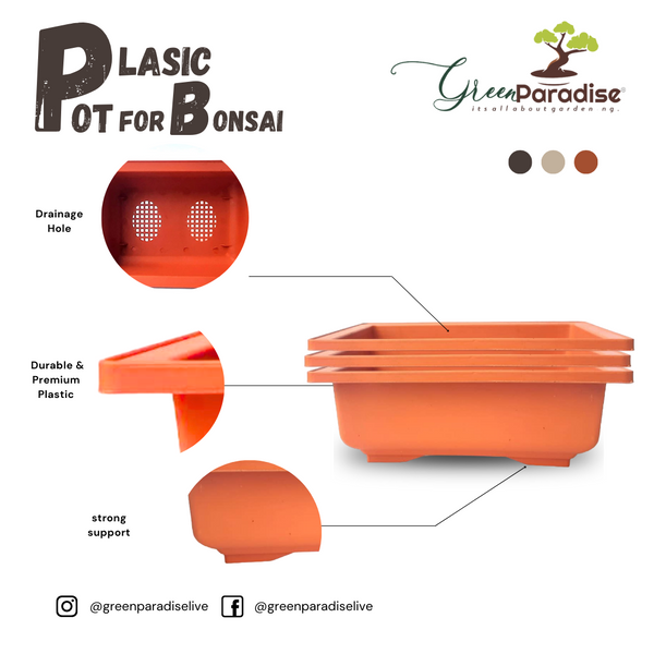 GREEN PARADISE® Rectangle Bonsai Plastic Pot Premium Quality Lightweight Pot for Indoor and Outdoor Bonsai Trees