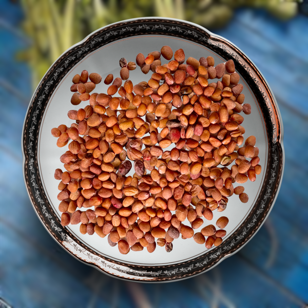 Green Paradise® Exotic Red Radish Seeds Pack