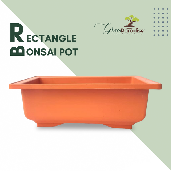 GREEN PARADISE® Rectangle Bonsai Plastic Pot Premium Quality Lightweight Pot for Indoor and Outdoor Bonsai Trees