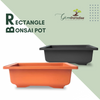 GREEN PARADISE® Rectangle Bonsai Plastic Pot Premium Quality Lightweight Pot for Indoor and Outdoor Bonsai Trees