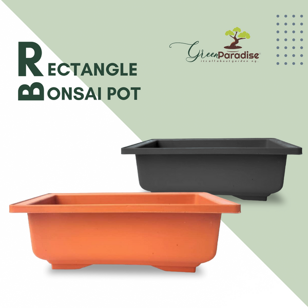 GREEN PARADISE® Rectangle Bonsai Plastic Pot Premium Quality Lightweight Pot for Indoor and Outdoor Bonsai Trees