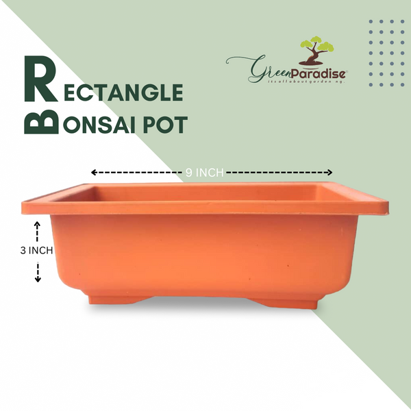 GREEN PARADISE® Rectangle Bonsai Plastic Pot Premium Quality Lightweight Pot for Indoor and Outdoor Bonsai Trees
