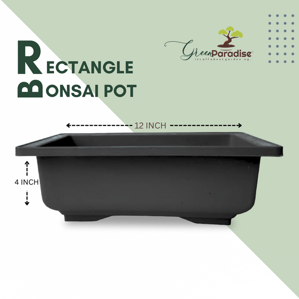 GREEN PARADISE® Rectangle Bonsai Plastic Pot Premium Quality Lightweight Pot for Indoor and Outdoor Bonsai Trees