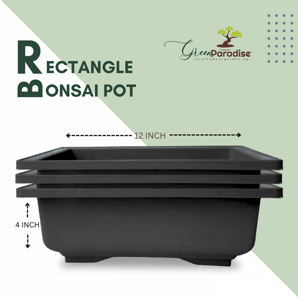 GREEN PARADISE® Rectangle Bonsai Plastic Pot Premium Quality Lightweight Pot for Indoor and Outdoor Bonsai Trees