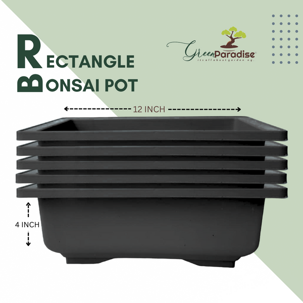GREEN PARADISE® Rectangle Bonsai Plastic Pot Premium Quality Lightweight Pot for Indoor and Outdoor Bonsai Trees