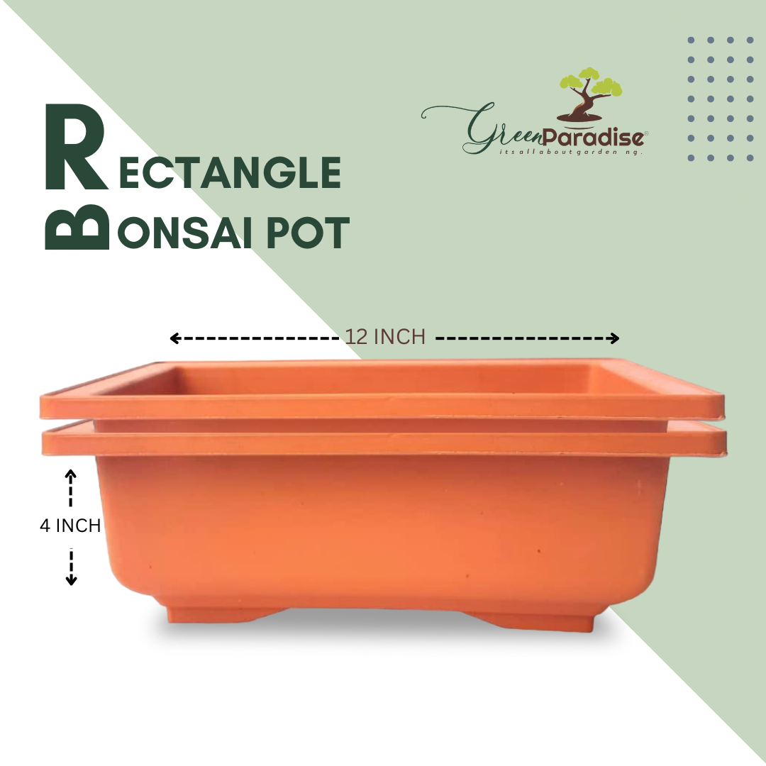 GREEN PARADISE® Rectangle Bonsai Plastic Pot - Terracotta Color | Premium Quality Lightweight Pot for Indoor and Outdoor Bonsai Trees